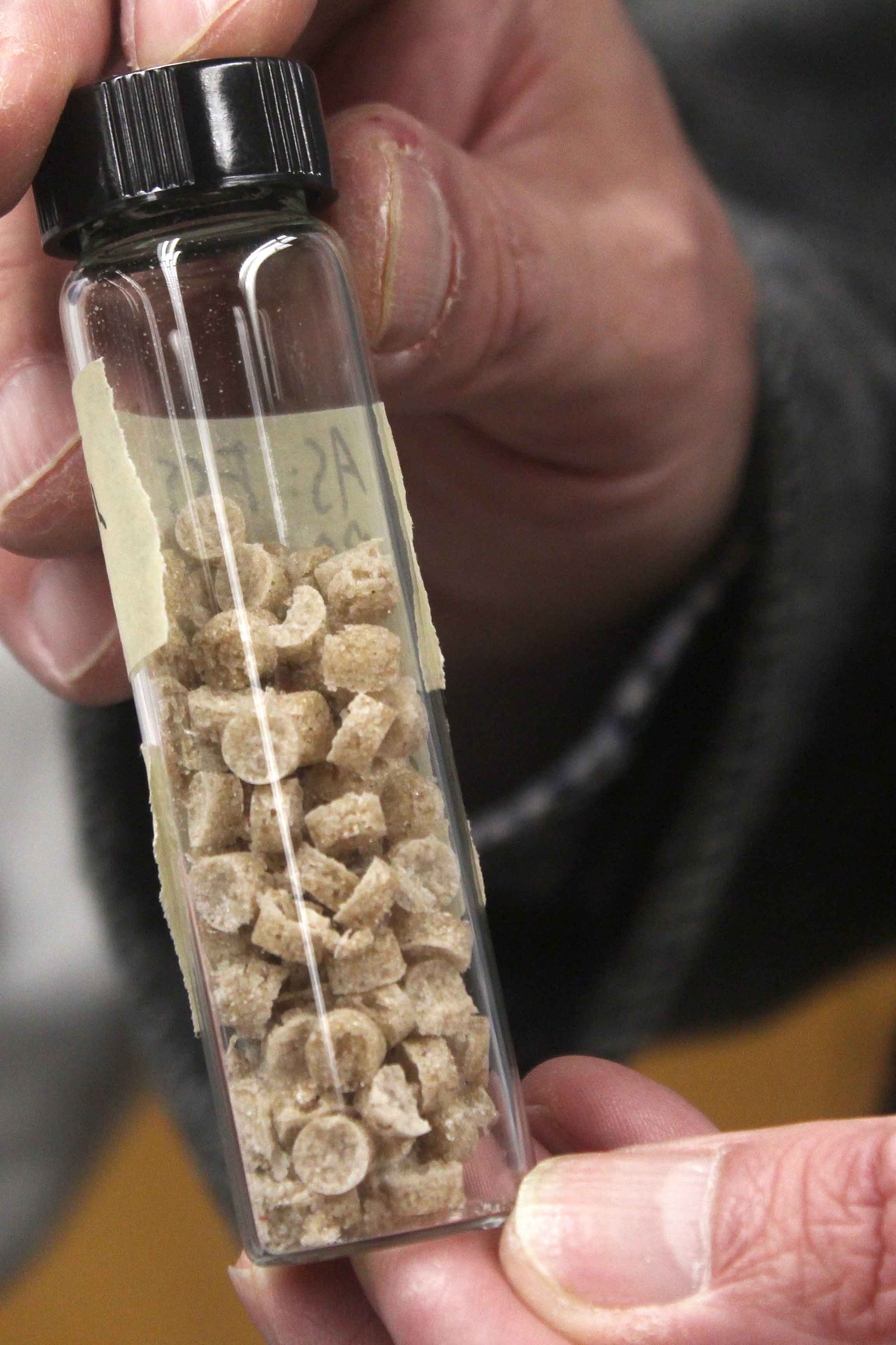 Bioplastic pellet